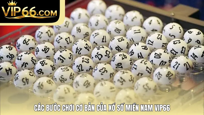 Các bước chơi cơ bản của xổ số miền Nam Vip66