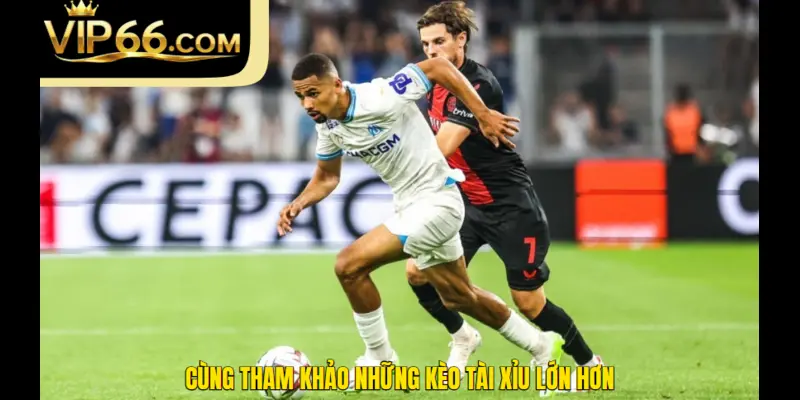 Cùng tham khảo những kèo tài xỉu lớn hơn