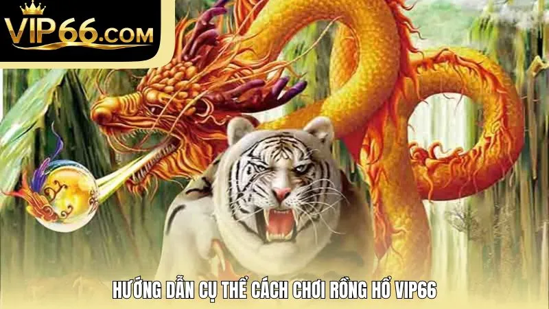 Hướng dẫn cụ thể cách chơi Rồng Hổ VIP66