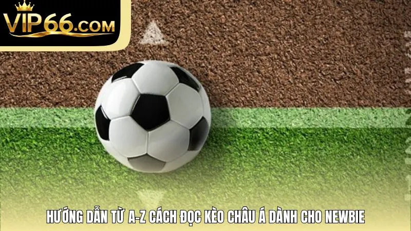Hướng dẫn từ A-Z cách đọc kèo châu Á dành cho newbie