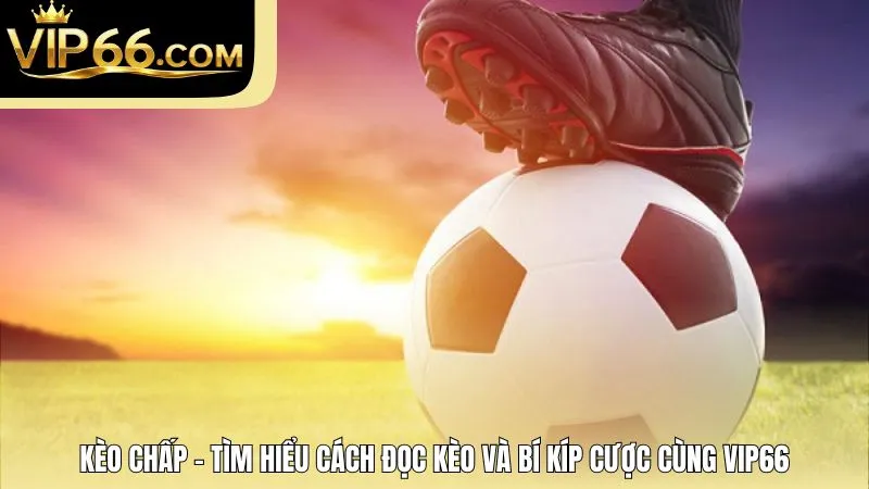 Kèo Chấp - Tìm Hiểu Cách Đọc Kèo Và Bí Kíp Cược Cùng VIP66