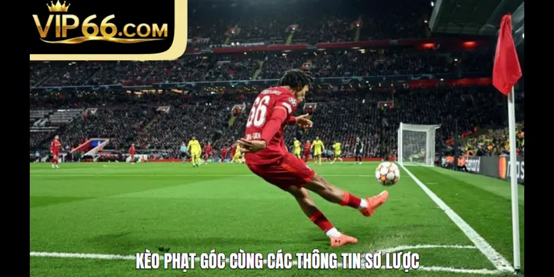 Kèo phạt góc cùng các thông tin sơ lược