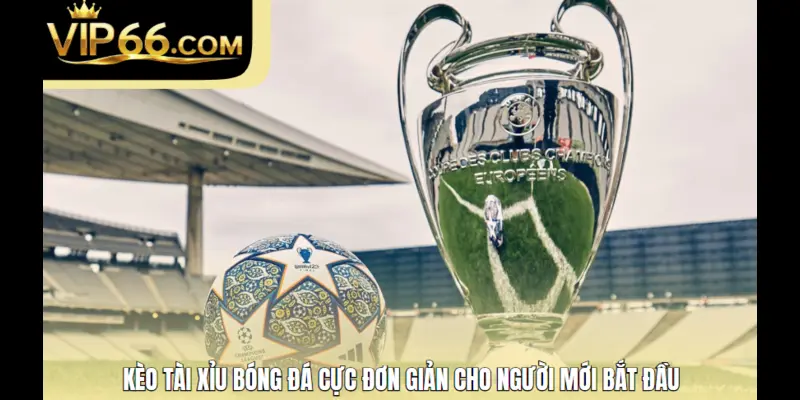 Kèo Tài Xỉu Bóng Đá Cực Đơn Giản Cho Người Mới Bắt Đầu