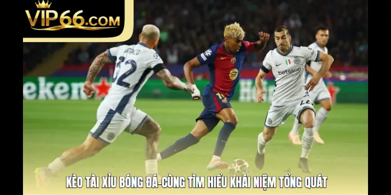 Kèo tài xỉu bóng đá-cùng tìm hiểu khái niệm tổng quát