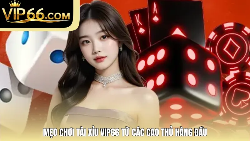 Mẹo chơi tài xỉu VIP66 từ các cao thủ hàng đầu
