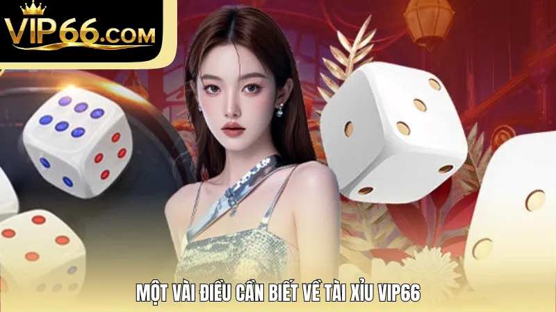 Một vài điều cần biết về tài xỉu VIP66
