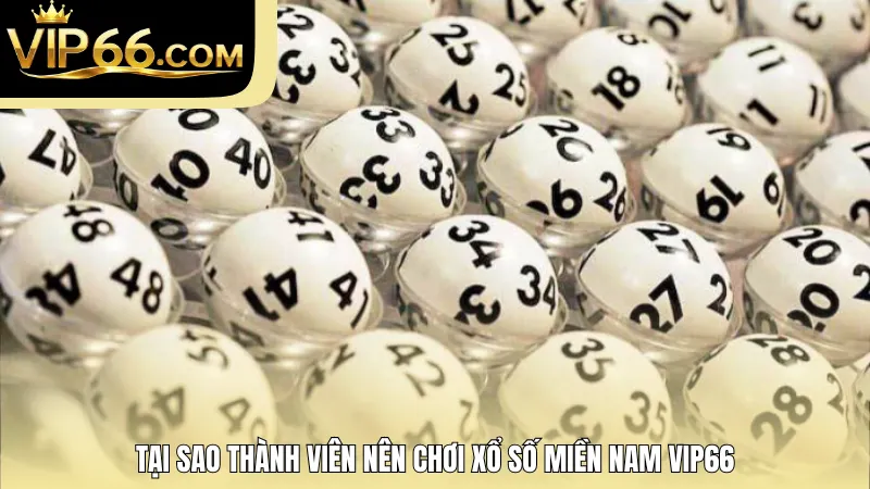 Tại sao thành viên nên chơi xổ số miền Nam Vip66