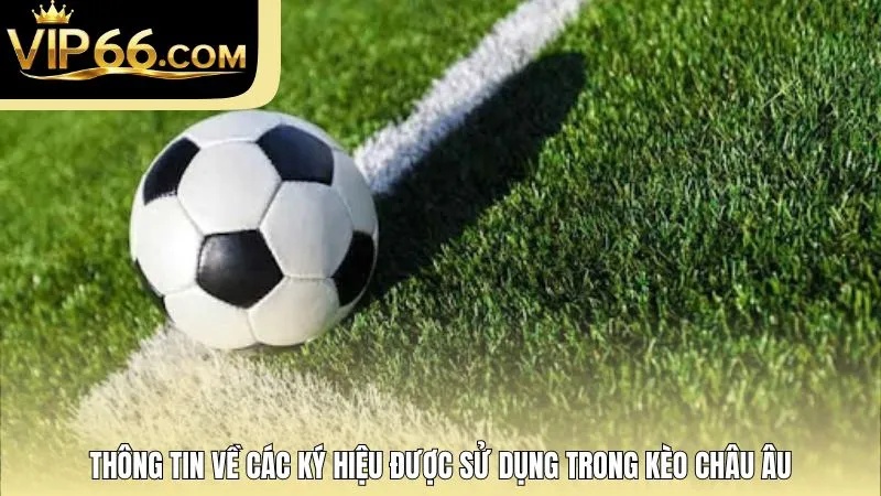 Thông tin về các ký hiệu được sử dụng trong kèo châu Âu