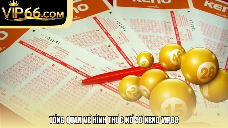 Tổng quan về hình thức xổ số Keno Vip66