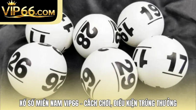 Xổ Số Miền Nam Vip66 - Cách Chơi, Điều Kiện Trúng Thưởng